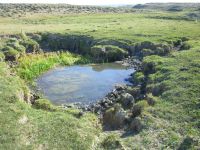 Lower Coyote Gulch Spring